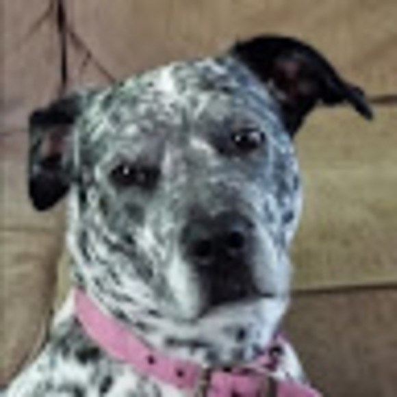 Meet your Posher, Jill - Picture 1 of 1